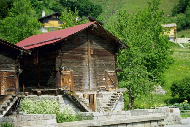 cabane dans les arbres